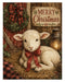 Down at the Barn: Donkey, Lamb & Turkey rice paper