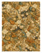 Naturalist Sea Specimens: Barnacles, Kelp, Sea Chart & Tidepool rice paper