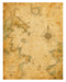 Naturalist Sea Specimens: Barnacles, Kelp, Sea Chart & Tidepool rice paper