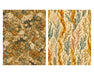 Naturalist Sea Specimens: Barnacles, Kelp, Sea Chart & Tidepool rice paper