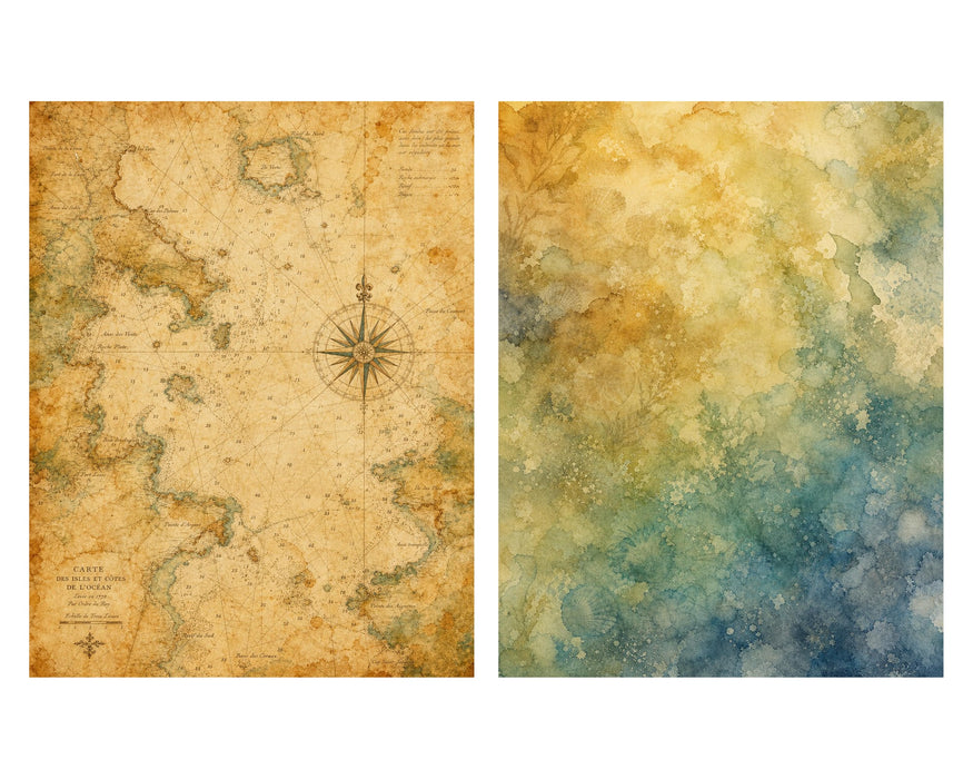 Naturalist Sea Specimens: Barnacles, Kelp, Sea Chart & Tidepool rice paper