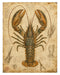 Naturalist Sea Specimens: Crab, Lobster, Sea Star & Sea Urchin rice paper