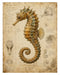 Naturalist Sea Specimens: Seahorse, Octopus, Jellyfish & Sea Turtle rice paper