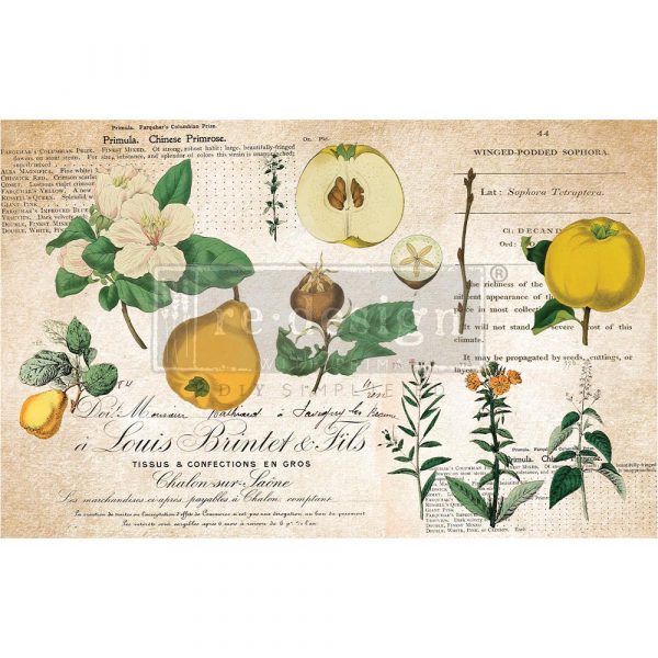 Primrose Decoupage Decor Tissue Paper