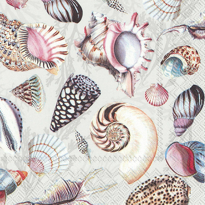 Paper Lunch Napkins / Shells of the Sea Nature